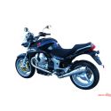 Echappement Zard homologuÃ© Moto Guzzi Breva v1200 2011-2015