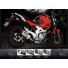 Echappement YOSHIMURA R77 SVF 650 GLADIUS 2009-2015 1