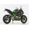 Echappement SHARK TRACK KAWASAKI Z800E 2013-2016 1