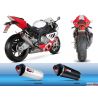 Echappement SCORPION RED POWER BMW S1000RR 2009-2014 1