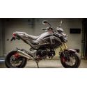Ligne complete d''Echappement ARROW PRO-RACE HONDA MSX 125 2016-2019