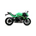 Echappement ARROW PRO-RACE KAWASAKI Z125 NINJA 125 2019