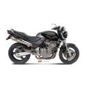Echappement MIVV X-CONE HONDA CB 600 HORNET 1998-2002