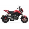 Echappement IXIL HYPERLOW BENELLI TNT 125 T 125 2017-2020 1