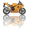 Echappement IXIL XTREM TRIUMPH TT600 2000-2002 600 DAYTONA 2003-2004 SPEEDFOUR 2002-2005 650 DAYTONA jusqu'à 2005 0