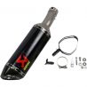 Echappement AKRAPOVIC carbone BMW S1000RR 2019-2020 2
