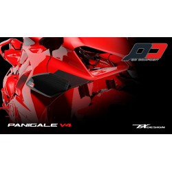 Kit Tie-Wingst moto DUCATI PANIGALE V4 2018-2020