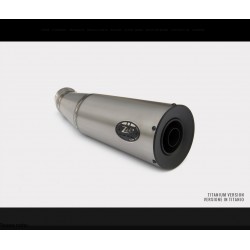 Pot d'Echappement Zard Bad Child pour BMW NINE T 1200