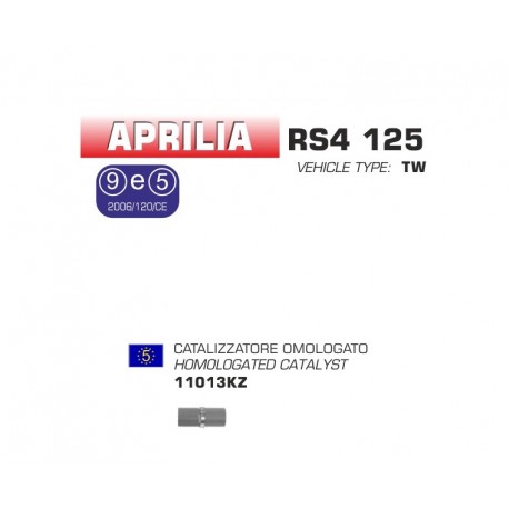 TUBE CATALYSEUR HOMOLOGUE ARROW KTM 125 DUKE 2011-2016 + 200 DUKE 2011-2014