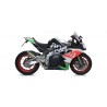 Echappement ARROW GP2 APRILIA RSV4 RR RSV4 RF 2017-2018 1