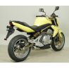 Echappement ARROW MAXI RACE-TECH KAWASAKI ER6N ER6F 2005-2011 650 VERSYS 2007-2014 4