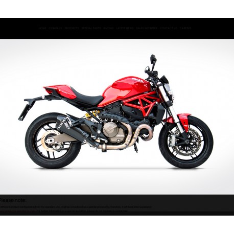 Echappement Zard Bas Double sortie Ducati Monster 821