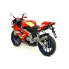 Echappement GIANNELLI APRILIA RS125 TUONO 125 0