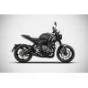 Ligne d'Echappement Zard Triumph 660 Trident 2021 2022 3
