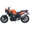 pot d'Echappement DEVIL evolution pour BMW F800R 2009-2016 4