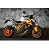 Pot d'échappement DEVIL evolution pour KTM 1290 SUPER DUKE 2015-2016 4