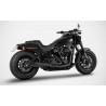 Echappement Zard Harley Davidson SOFTAIL M8 2018-2020 0