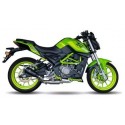 Echappement IXRACE MK2 BENELLI 250 TNT 2020