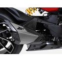 Echappement Zard Ducati Diavel V4