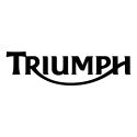 Pot d'échappement Akrapovic Triumph