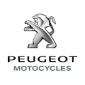 Pot d'échappement Giannelli Peugeot