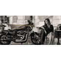 Pot d'Echappement moto Mohican Harley Davidson