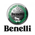 Pot d'Echappement Giannelli Benelli