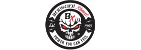 Pot d'Echappement BASSANI XHAUST Triumph